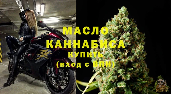 ешки Вяземский