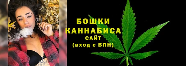 ешки Вяземский