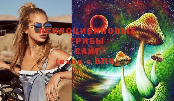 ешки Вяземский