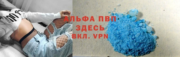ешки Вяземский